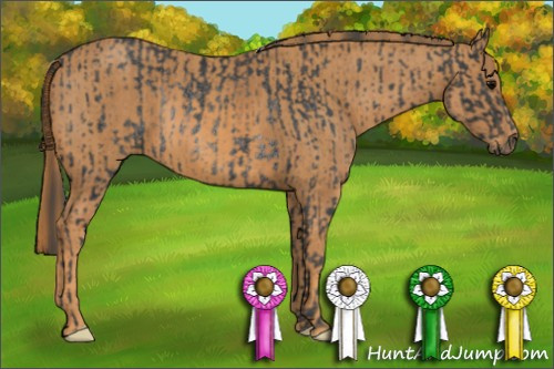 Horse Color: Brown Rabicano  Brindle