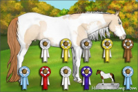 Horse Color:Smoky Grullo Pearl Sabino Tobiano Rabicano 