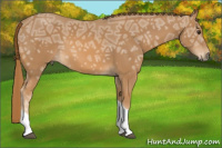 Horse Color:Chestnut Ice Tobiano 