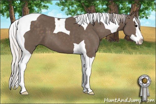 Horse Color: Silver Black Splash Tobiano 