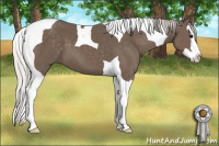 Horse Color:Silver Black Splash Tobiano 