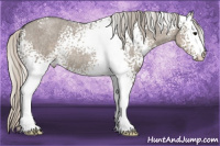 Horse Color:White Spotted Silver Smoky Grullo Roan 