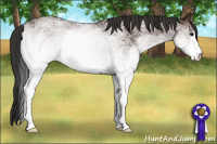 Horse Color:White Spotted Brown 