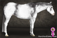 Horse Color:White Spotted Smoky Black