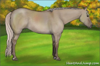 Horse Color:Silver Grullo Rabicano