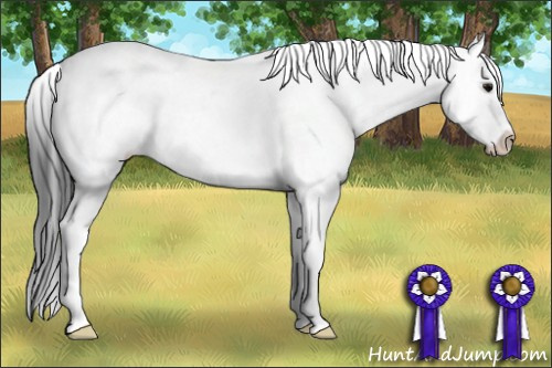 Horse Color: Black Splash 