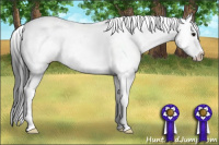Horse Color:Black Splash