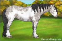 Horse Color:Grullo Ice Frame