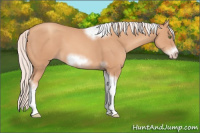 Horse Color:Silver Classic Champagne Sabino Tobiano Frame
