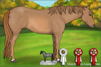 Horse Color:Unknown 