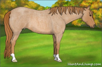 Horse Color:Red Roan 