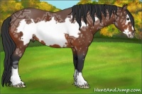 Horse Color:Bay Ice Frame 