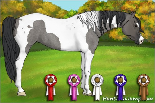 Horse Color: Grullo Roan Tobiano 