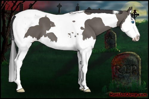 Horse Color: Smoky Grullo Splash Tobiano 