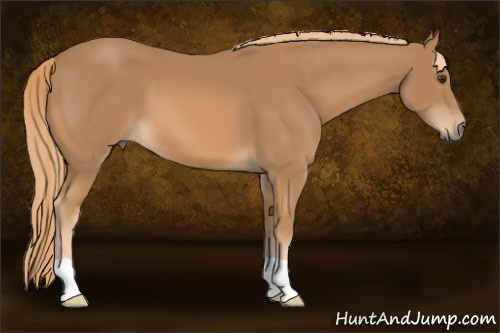 Horse Color: Chestnut 