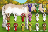 Horse Color:Silver Bay Dun Sabino Splash Frame 