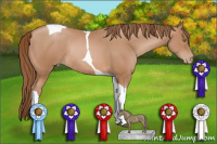 Horse Color:Brown Pearl Tobiano Rabicano