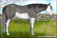 Horse Color:Grullo Splash Rabicano 