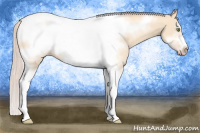 Horse Color:Silver Amber Champagne Dun Sabino Tobiano Frame 