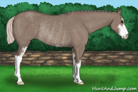 Horse Color:Silver Grullo Sabino Rabicano