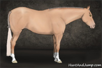 Horse Color:Silver Amber Champagne
