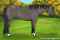 Horse Color:Smoky Grullo 