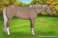 Horse Color:Silver Grullo 