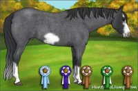 Horse Color:Blue Roan Splash Frame 