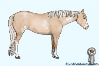 Horse Color:White Spotted Silver Brown Pearl Dun Tobiano 