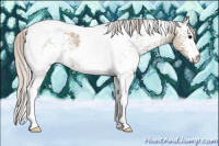 Horse Color:White Spotted Silver Grullo Ice Tobiano 