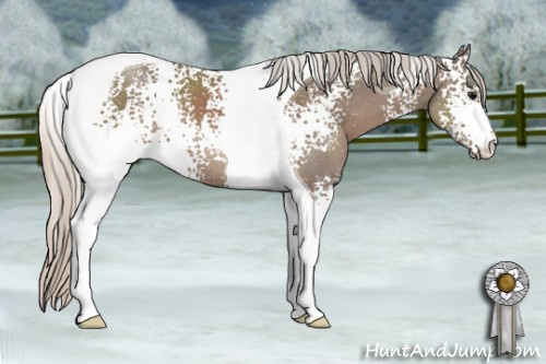 Horse Color: Unknown 