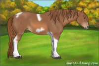 Horse Color:Chestnut Tobiano Frame 