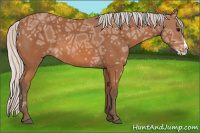 Horse Color:Silver Bay Ice Splash 