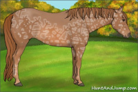 Horse Color:Chestnut Ice 