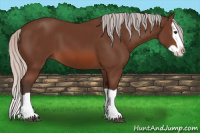 Horse Color:Silver Brown Splash 