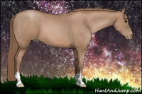 Horse Color:Black Pearl