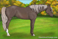 Horse Color:Silver Black 