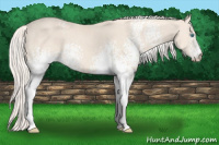 Horse Color:White Spotted Cremello Sabino