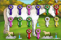 Horse Color:White Spotted Perlino Dun 