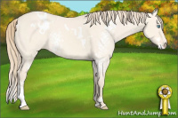 Horse Color:White Spotted Perlino Dun 