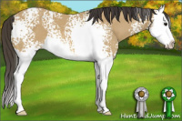 Horse Color:White Spotted Buckskin Splash 
