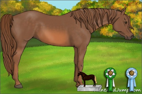 Horse Color: Unknown 