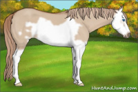 Horse Color:Red Dun Splash Frame