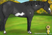 Horse Color:Brown Frame 