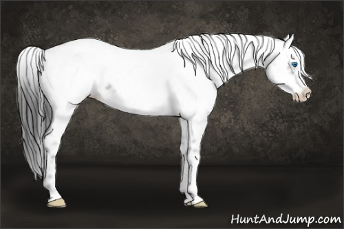 Horse Color: Brown Frame 