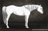 Horse Color:Brown Frame 