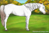 Horse Color:Liver Red Roan Frame 