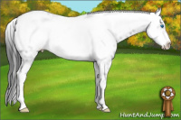 Horse Color:Black Frame 