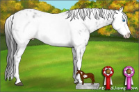 Horse Color:Black Frame 