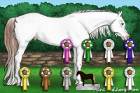 Horse Color:Liver Red Roan Frame 